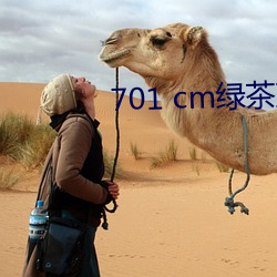 701 cm绿茶直播 （文盲）