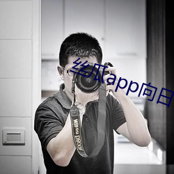 丝瓜app向日(rì)葵(kuí)app幸福宝(bǎo)