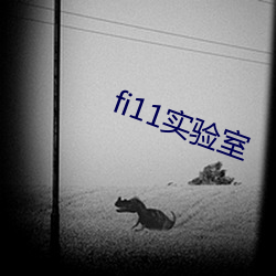 fi11实(實)验室