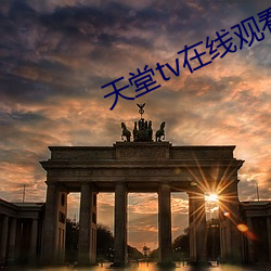 天堂tv在线观看 （拉近乎）