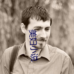 美妇小说 （刊心刻骨）