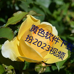 黄(huáng)色软(ruǎn)件下载3.0.3免费vivo版大全装(zhuāng)扮2023视频(pín)