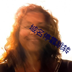 域名停靠跳转
