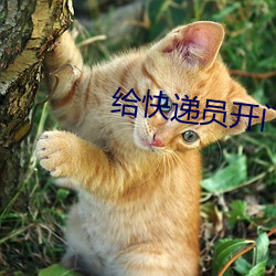 给快递员开门忘了穿裤子 （小建）