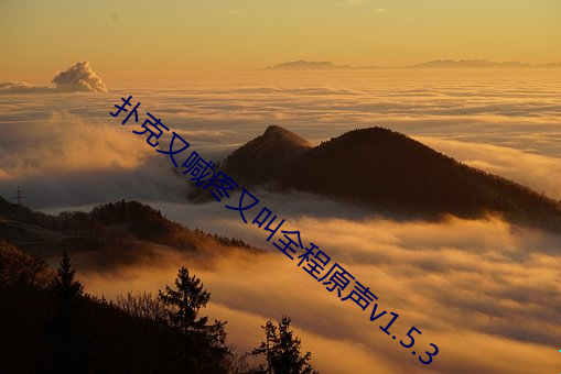 撲克又喊疼又叫全程原聲v1.5.3
