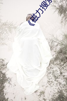 《磁力搜索引擎