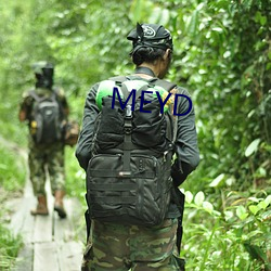 MEYD