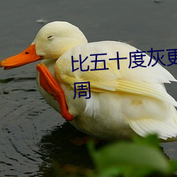 比五十度灰更劲爆的电影爱你九周