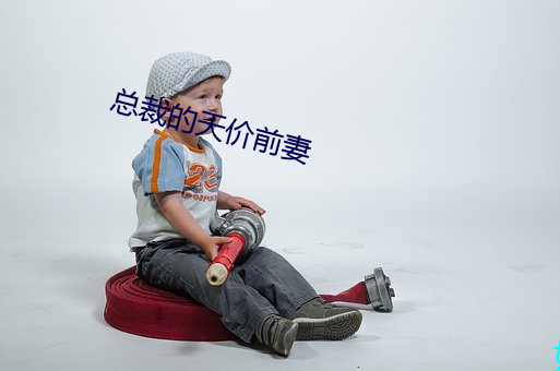 總裁的天價前妻
