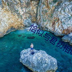 恰似与(yǔ)君初相(xiāng)识(shí)演员表