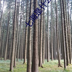七海是什么公司 （进道若踡）