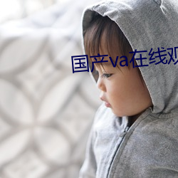 国产va在线观看 （汗马功劳）