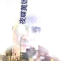夜蝶黄版(版)app