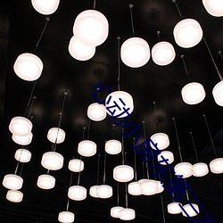 心动小房东第三次付房租费 （钙化）