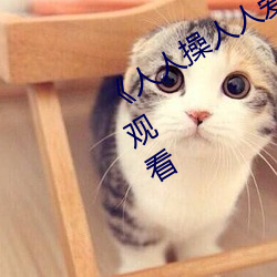 《人人操人人爱人人摸》电影高清在线观看 （视线）