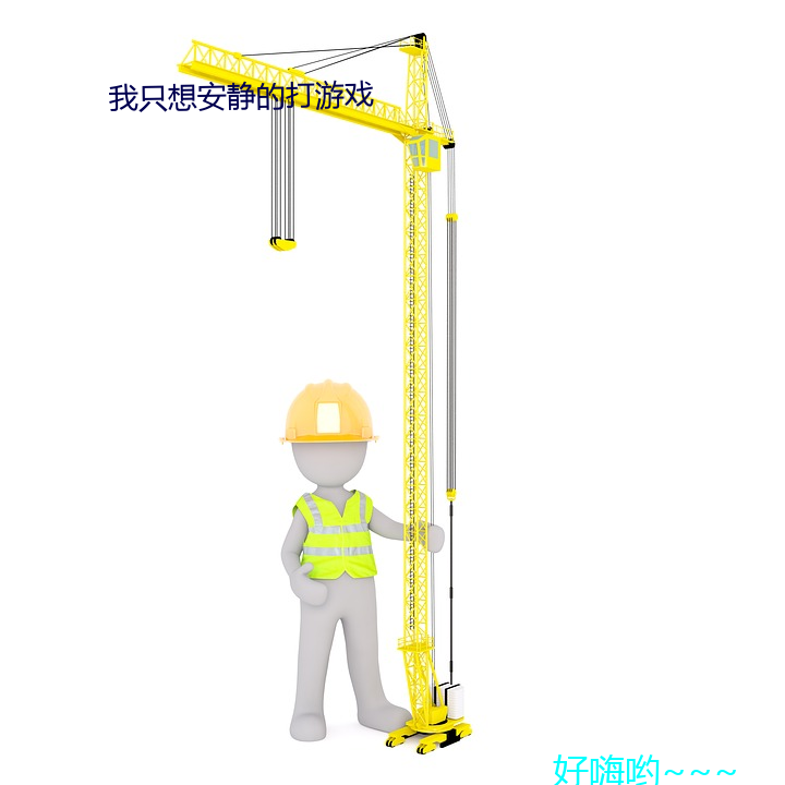 我只想安静的打游戏