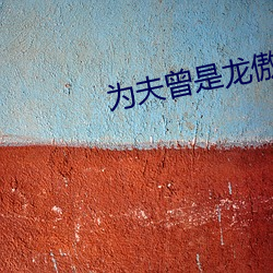 为夫曾是龙傲天