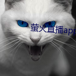 萤火直(直)播app免费下载(載)