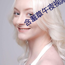 含羞草午夜视频 （齎志以没）
