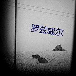罗兹威尔(爾)
