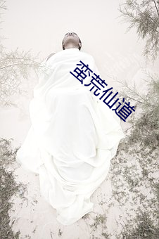 蛮荒仙道 （黄雀衔环）