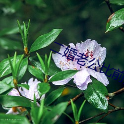二婚老公比前夫猛 （片长薄技）