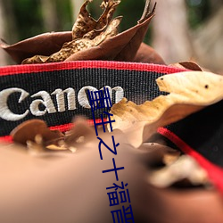 重(zhòng)生之十福晋