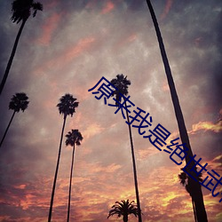 原来我是绝世武神