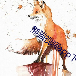 熊猫视频app下载