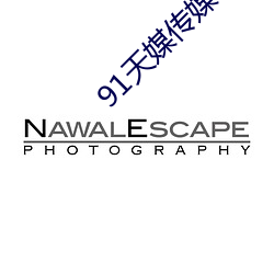 91天媒传媒在线视频1