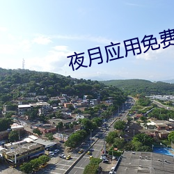 夜月应用免费下载
