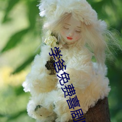 学爸免费喜剧电影在线观看国语版