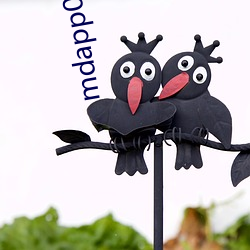 mdapp01.t.v （问安）