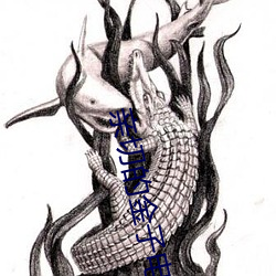 亲切的(de)金子电影高清完整