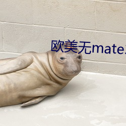 欧(ōu)美无mate30pro巨