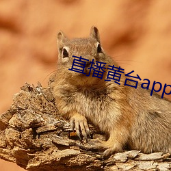 直播黄台app凤蝶