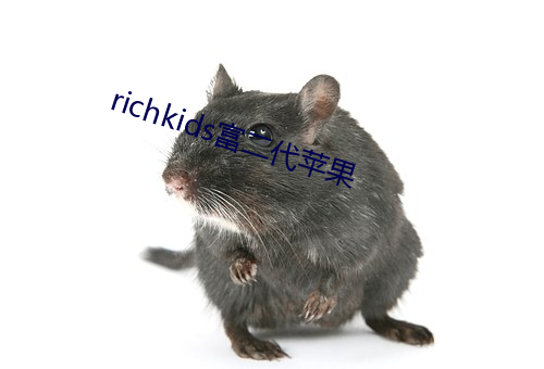 richkids富二代蘋果