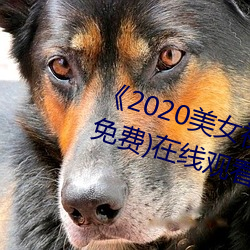 《2020美女视频黄频大全视频》(免费)在线观看 （押账）