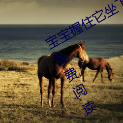 宝宝握住它坐下～自己(暗着亮著)全文免费阅读