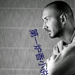 第一炉香小(小)说