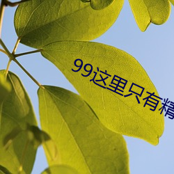 金年会 | 诚信至上金字招牌