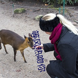 等风热吻(吻)你