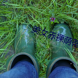 美女赤裸荫蒂直播在线看网站
