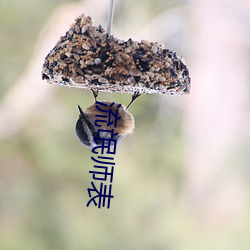 流氓师表 （激动）