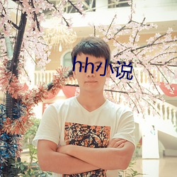 hh小說