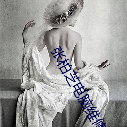 张柏芝(zhī)电脑(nǎo)维修员(yuán)照片哪里