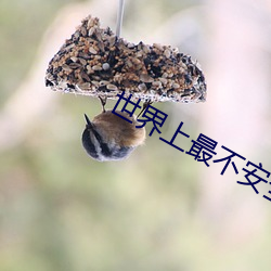 &#x9EBB;&#35910;&#x514D;&#36153;&#x89C2;&#30475;&#x9AD8;&#28165;&#x5B8C;&#25972;&#x89C6;&#39057;