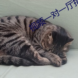 视频一对一厅(tīng)指挥