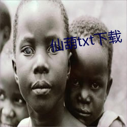 仙葫txt下载 （转机）