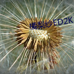 橘梨紗ED2K